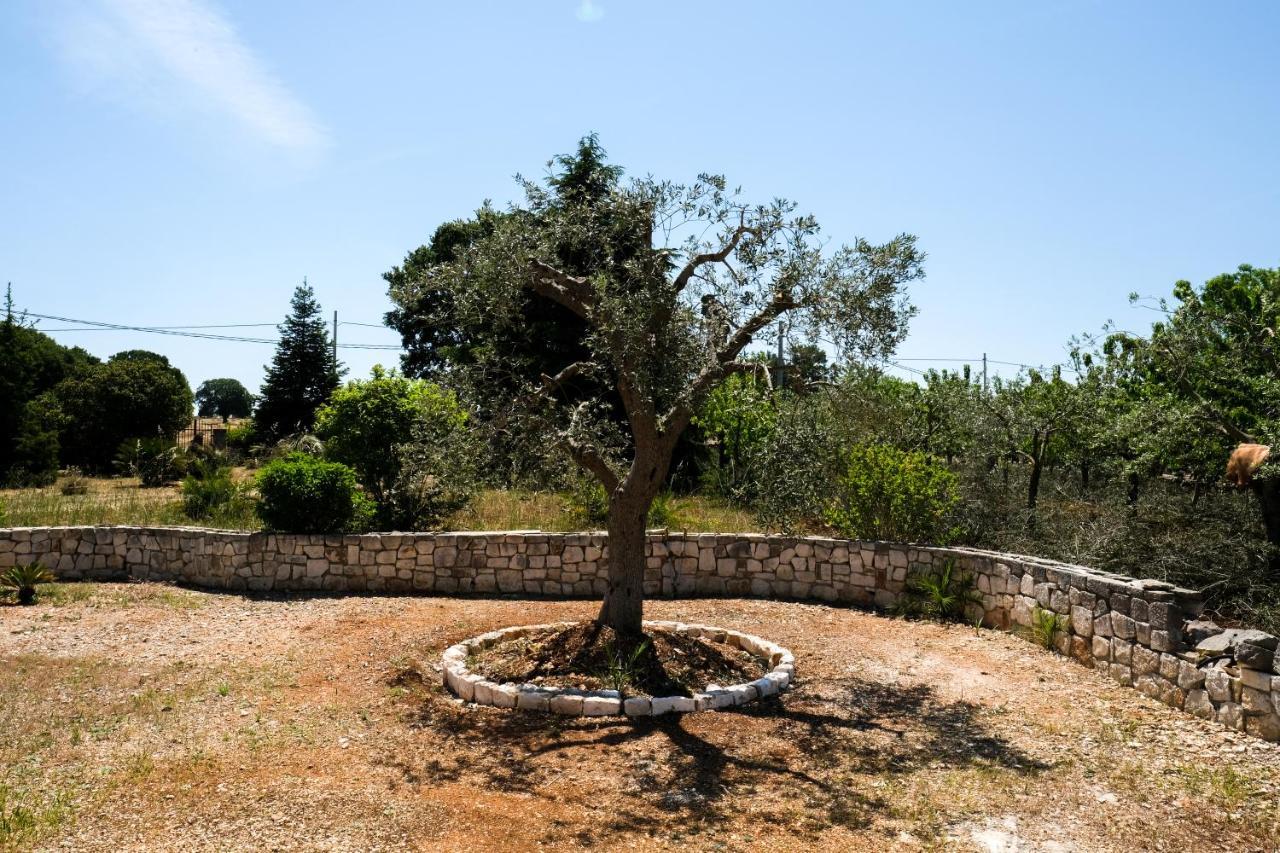 Trullo Elvira & Luigi Villa Monopoli Dış mekan fotoğraf